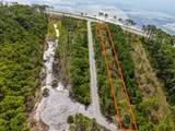 1493 Hwy 98 - Photo 4