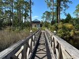513 Shelly's Loop Rd - Photo 9