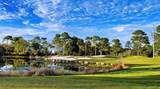 109 Anhinga Trl - Photo 7