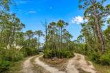 2039 Sand Dollar Trl - Photo 55