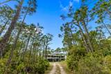 2039 Sand Dollar Trl - Photo 56