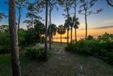 2039 Sand Dollar Trl - Photo 68