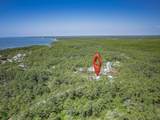 107 Treehouse Cir - Photo 48
