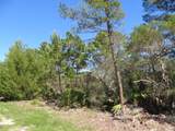 332 Frank Mckamey Way - Photo 3