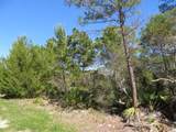 332 Frank Mckamey Way - Photo 4