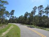 332 Frank Mckamey Way - Photo 6