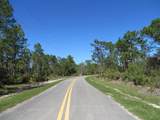 332 Frank Mckamey Way - Photo 8