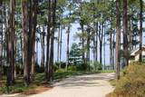 278 Magnolia Bay Dr - Photo 10
