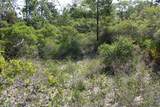 278 Magnolia Bay Dr - Photo 3