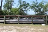 278 Magnolia Bay Dr - Photo 6
