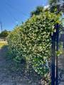 352 Gulf St - Photo 43