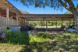 1097 Cypress St - Photo 32