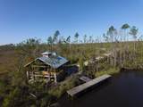 103 Torrey Pine Trl - Photo 4