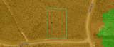 103 Torrey Pine Trl - Photo 9