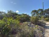 105 Sand Trace Dr - Photo 1