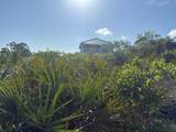 105 Sand Trace Dr - Photo 3
