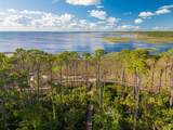 338 Cape San Blas Rd - Photo 59