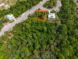 137 Anhinga Ct - Photo 6
