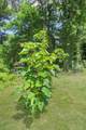 1185 E River Rd - Photo 32