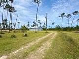 601 Palmetto Dr - Photo 4