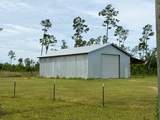 601 Palmetto Dr - Photo 8