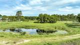 2074 Hwy 98 W - Photo 7
