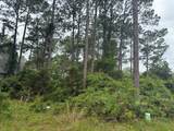 130 Skimmer Dr - Photo 7