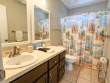 1223 Avocet Ln - Photo 41