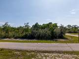 303 Hibiscus Ln - Photo 11