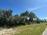 303 Hibiscus Ln - Photo 12