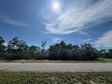 303 Hibiscus Ln - Photo 13