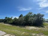 303 Hibiscus Ln - Photo 15