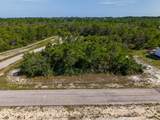 303 Hibiscus Ln - Photo 9