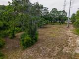 1007 Copesetic St - Photo 2