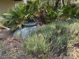 1804 Suzie Ct - Photo 58