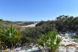 2116 Sea Fern Way - Photo 3