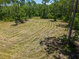 301 Jay Jay Way - Photo 3