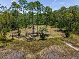 301 Jay Jay Way - Photo 4