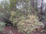110 24th Ave - Photo 4