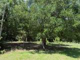 1055 Cypress St - Photo 4