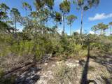 Lot A Adventure Ave - Photo 8