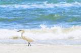Lot 22 Cape San Blas Rd - Photo 9