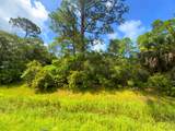 Lot 2 Cape San Blas Rd - Photo 3