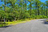 142 Winding Trail Way - Photo 3