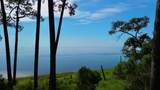 3206 Hwy 98 E - Photo 2