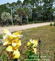 2390 Oak St - Photo 60
