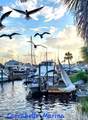 2390 Oak St - Photo 63