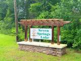 229 Seven Springs Rd - Photo 3