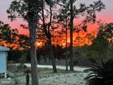 2904 Hidden Beaches Rd - Photo 40