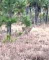 Lot 78 Wide Water Cir - Photo 11